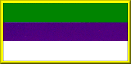 Bandera de Joaquín Infante