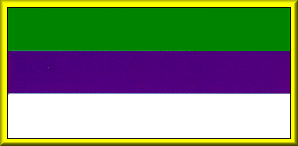 Bandera de Joaqun Infante
