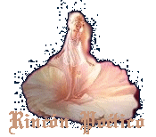 Regresar a Rinc�n Poetico
