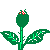 Rosered.gif