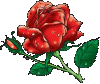 Adis