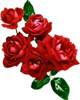 rosa1